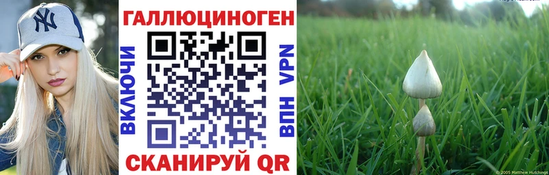 Псилоцибиновые грибы прущие грибы  Новоузенск 